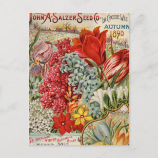 Salzer-Blume Saatgut Postkarte