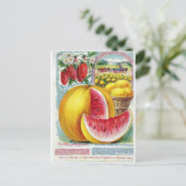 Salzer Wassermelonen Postkarte (Stehend Vorderseite)