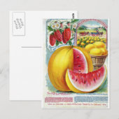 Salzer Wassermelonen Postkarte (Vorne/Hinten)