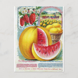 Salzer Wassermelonen Postkarte
