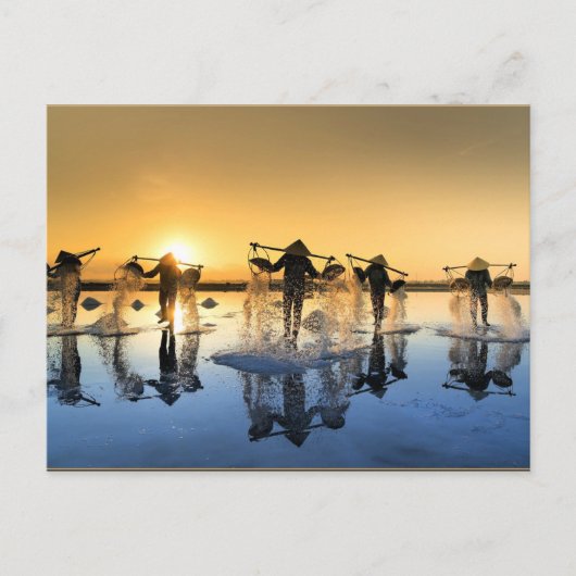 Salzernte in Vietnam Postkarte (Vorderseite)