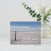 Salzflecken, Salzflecken, Naturschutzgebiet Postkarte (Stehend Vorderseite)