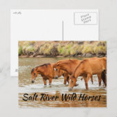 Salzfluss Wilde Pferde Postkarte (Vorne/Hinten)