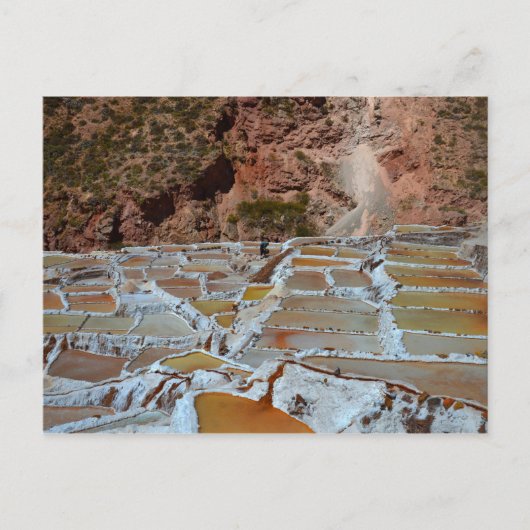 Salzpfannen von Maras, Peru Postkarte (Vorderseite)