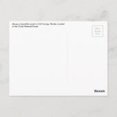 Salzstreuer Postkarte (Rückseite)