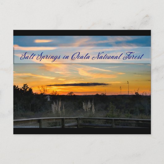 Salzstreuer Postkarte (Vorderseite)