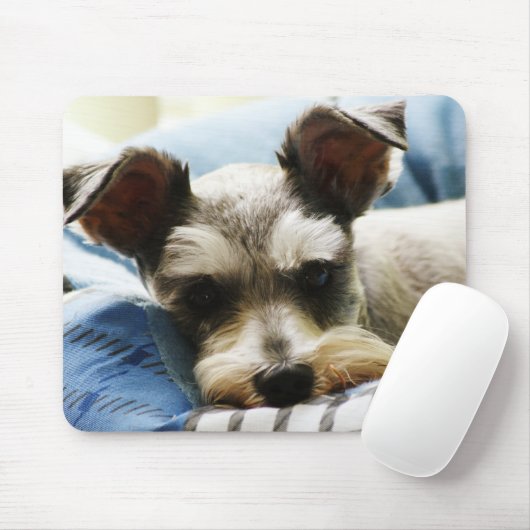 Salzu. PfefferminiSchnauzer Mousepad (Mit Mouse)