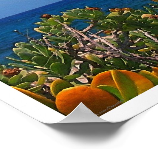 Salzwasser-Insel-Poster Poster (Ecke)