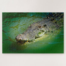 Salzwasser-Krokodil in sumpfigen Gewässern Puzzle