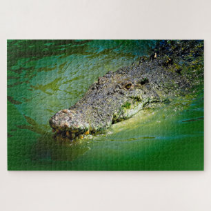 Salzwasser-Krokodil in sumpfigen Gewässern Puzzle