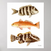 Salzwasser Poster (Vorne)