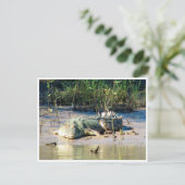 Salzwasser Postkarte (Stehend Vorderseite)