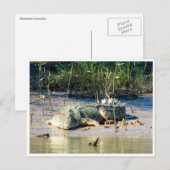 Salzwasser Postkarte (Vorne/Hinten)