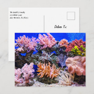 Salzwasseraquarium - Korallenriff Postkarte