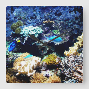 Salzwasseraquarium Quadratuhr Quadratische Wanduhr