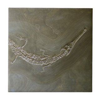 Salzwasserkrokodil versteinertes Steneosaurus Fliese