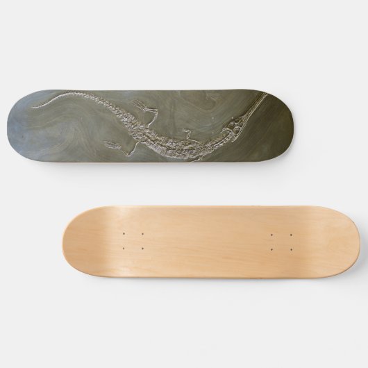 Salzwasserkrokodil versteinertes Steneosaurus Skateboard (Horizontal)