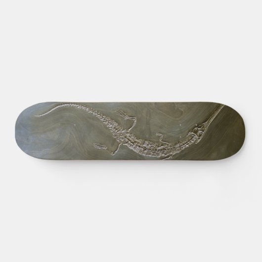 Salzwasserkrokodil versteinertes Steneosaurus Skateboard (Horizontal)