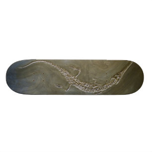 Salzwasserkrokodil versteinertes Steneosaurus Skateboard