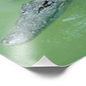 Salzwasserkrokodile in Australien Fotodruck (Ecke)