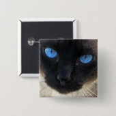 Sam die siamesische Katze Button (Vorne & Hinten)