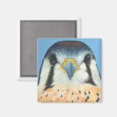 Sam, ein amerikanischer Kestral Magnet (Vorderseite/Rückseite)