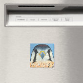 Sam, ein amerikanischer Kestral Magnet (In Situ (Geschirrspüler))
