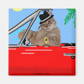 Sam Le Cat Baller Cat Magnet (Vorne)