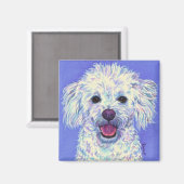 "Sam" - Poodle Mix Magnet (Vorderseite/Rückseite)