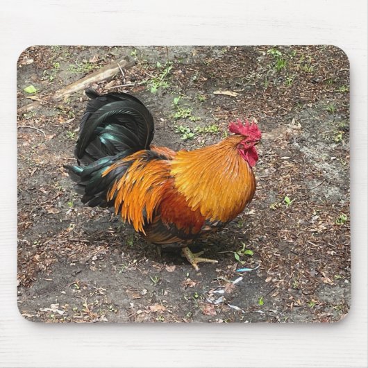 Sam The Rooster Mousepad (Vorne)