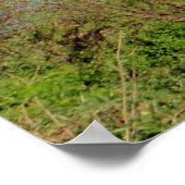 Sambische Landschaft Poster (Ecke)