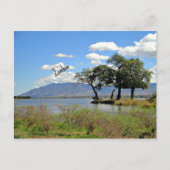 Sambische Landschaft Postkarte (Vorderseite)