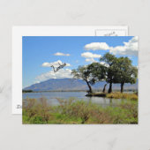 Sambische Landschaft Postkarte (Vorne/Hinten)