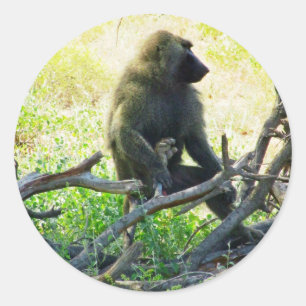 Samburu Baboon Runder Aufkleber