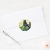 Samburu Baboon Runder Aufkleber (Umschlag)