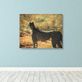 Samburu Cheetah Leinwanddruck (Insitu (Holzboden))