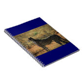 Samburu Cheetah Notizblock (Rechte Seite)