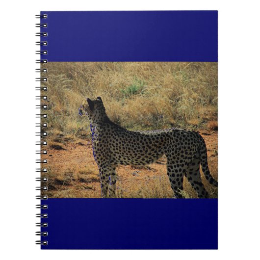 Samburu Cheetah Notizblock (Vorderseite)