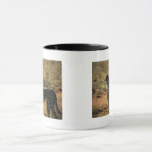 Samburu Cheetah Tasse (Zentrum)