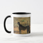Samburu Cheetah Tasse (Links)