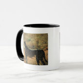 Samburu Cheetah Tasse (Vorderseite Links)
