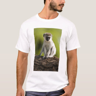 Samburu Game Reserve, Kenia, Vervet-Meerkatze, T-Shirt