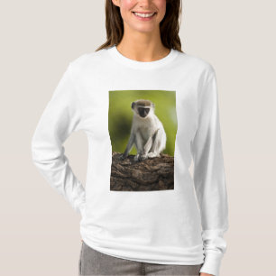 Samburu Game Reserve, Kenia, Vervet-Meerkatze, T-Shirt