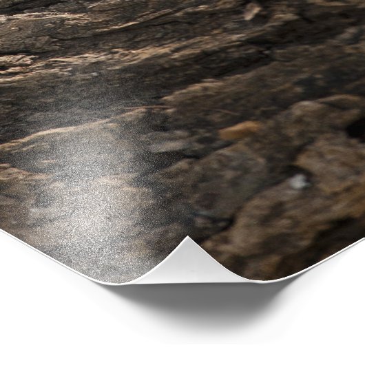 Samburu Game Reserve, Kenia, Vervet Monkey, Fotodruck (Ecke)