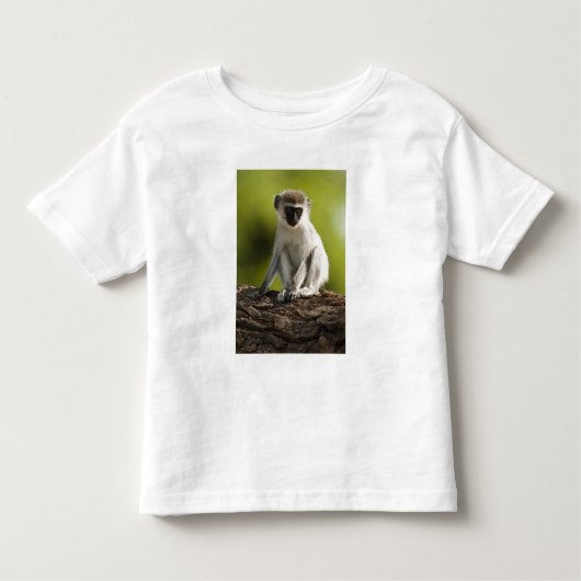 Samburu Game Reserve, Kenia, Vervet Monkey, Kleinkind T-shirt (Vorderseite)