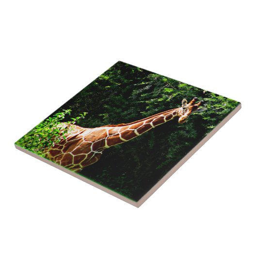 Samburu Giraffe Fliese (Seite)