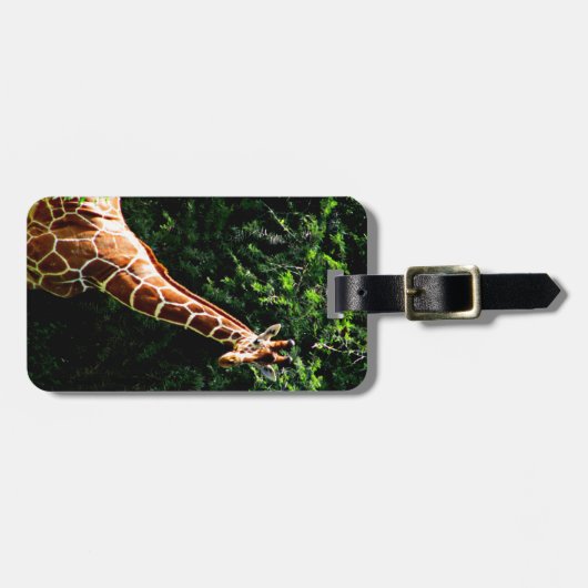 Samburu Giraffe Gepäckanhänger (Vorderseite horizontal)