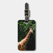 Samburu Giraffe Gepäckanhänger (Vorderseite vertikal)