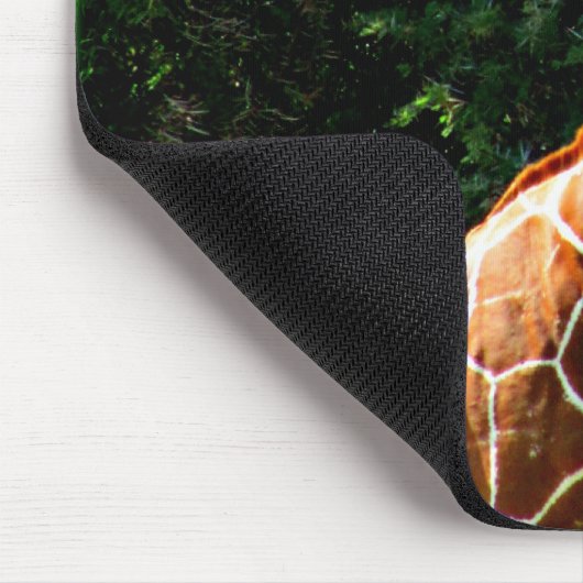 Samburu Giraffe Mousepad (Ecke)