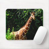 Samburu Giraffe Mousepad (Mit Mouse)
